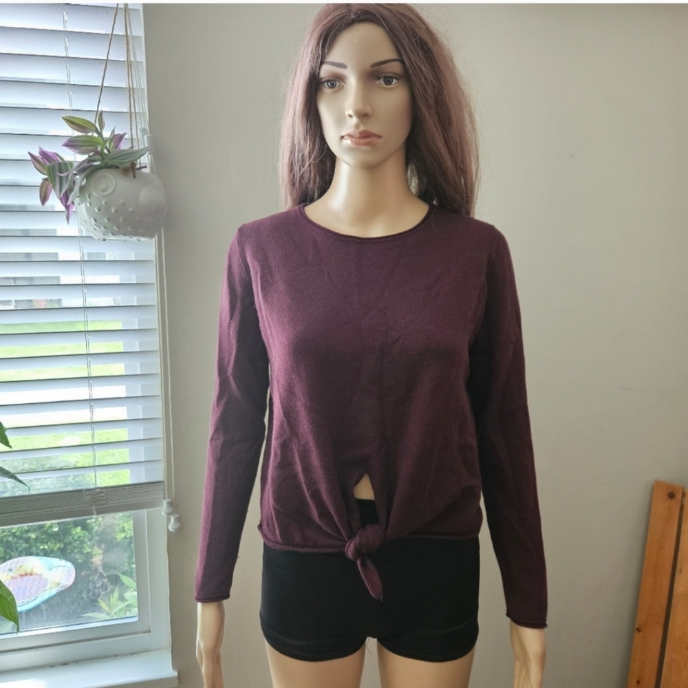 Aritzia Babaton sweater Small eggplant purple merino wool crew neck tie